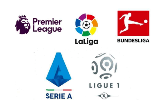 导致伤势反 导致伤势反